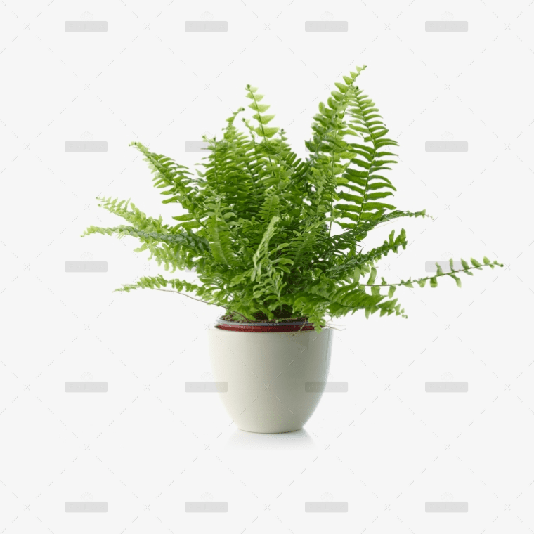 demo-attachment-38-Group-10168